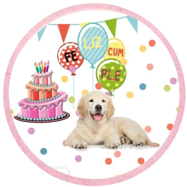 WhatsApp Image 2025-06-09 at 14.46.33