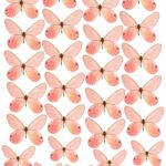 Oblea decoración Tartas A4