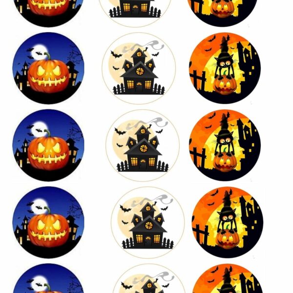 WhatsApp Image 2022-10-17 at 12.26.59