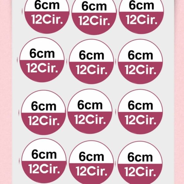 363724068_645572740973448_4592438274455709615_n