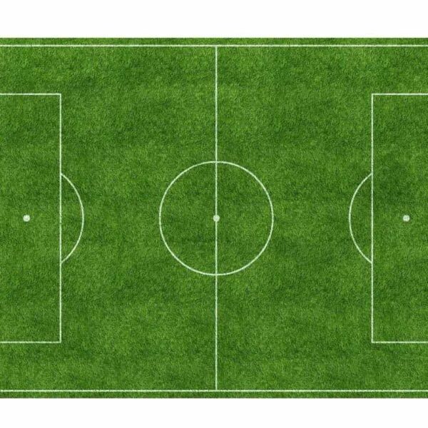 364394836_330757862621327_3913189014849785664_n