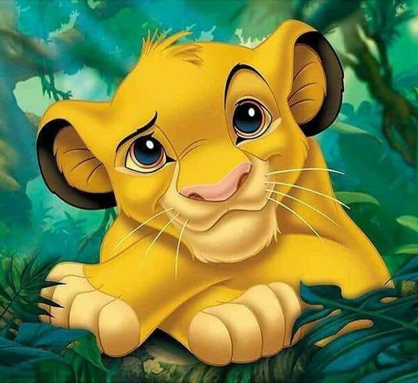 366370113_1502828010520508_6349778562722462573_n