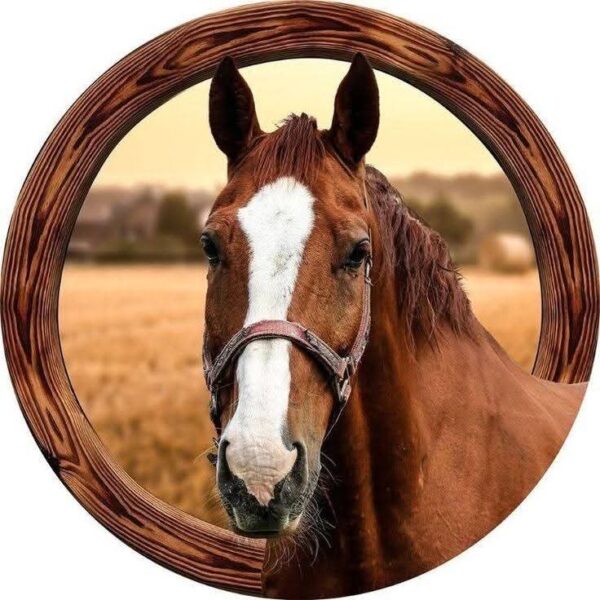 WhatsApp Image 2025-04-02 at 19.33.04