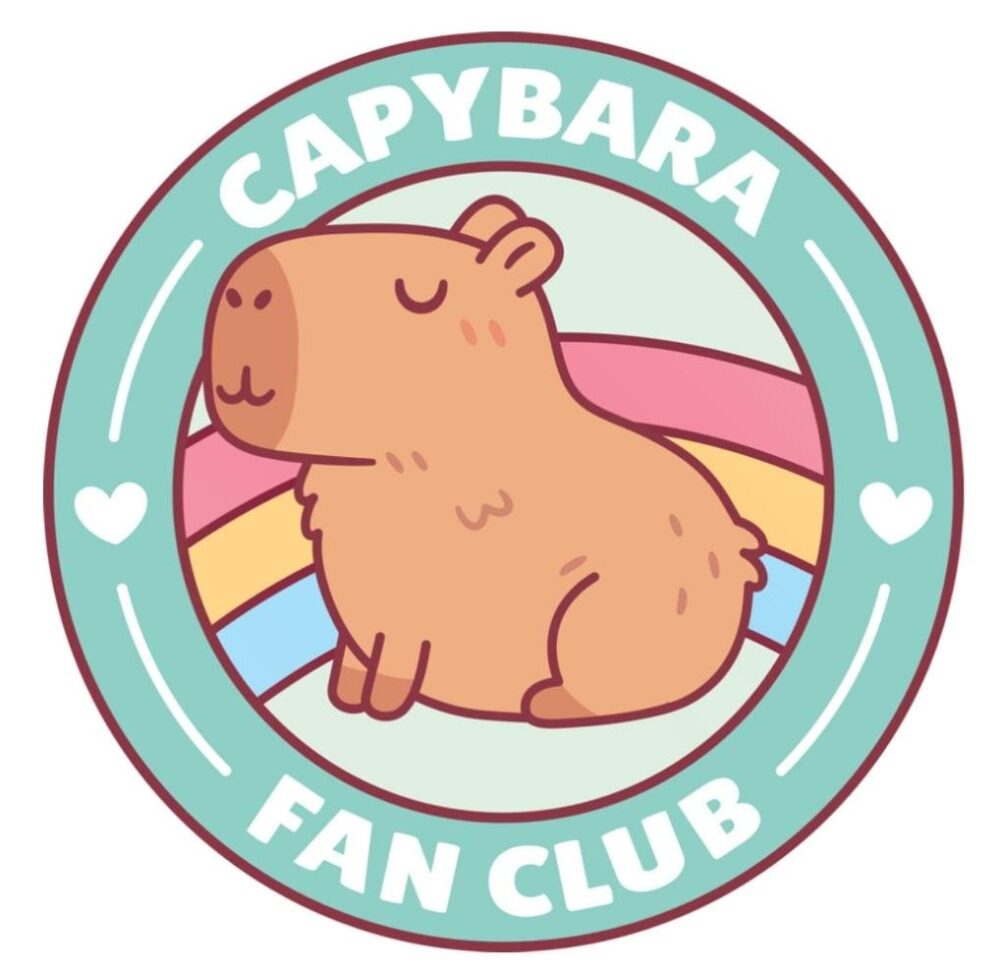 WhatsApp Image 2025-04-02 at 19.42.22