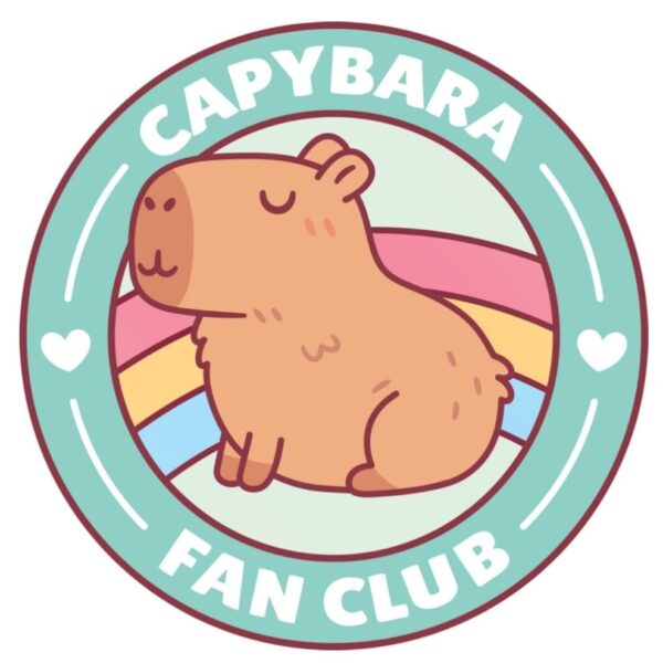 WhatsApp Image 2025-04-02 at 19.42.22